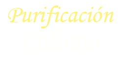 Purificación Colomo Logo